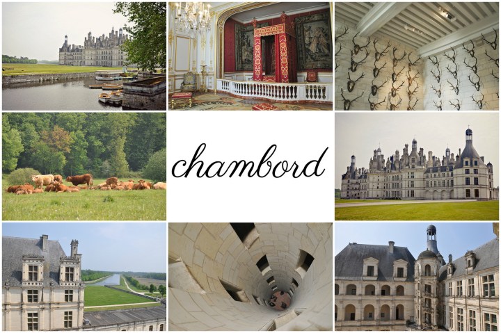 47059991352_9996c983d3_h