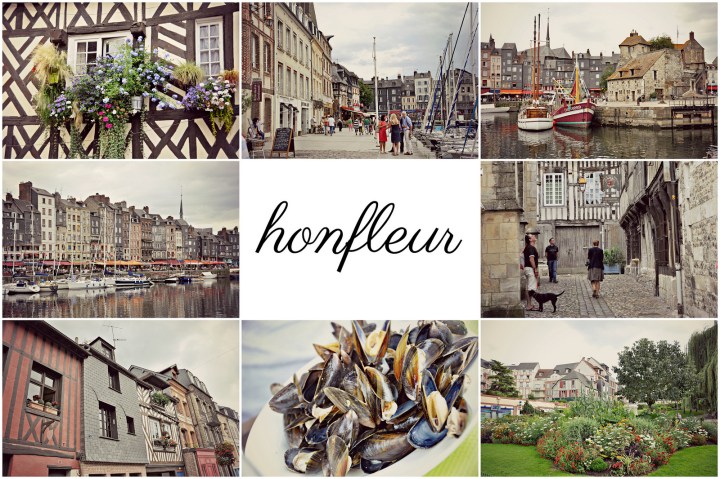 47059150042_0d3038a487_h