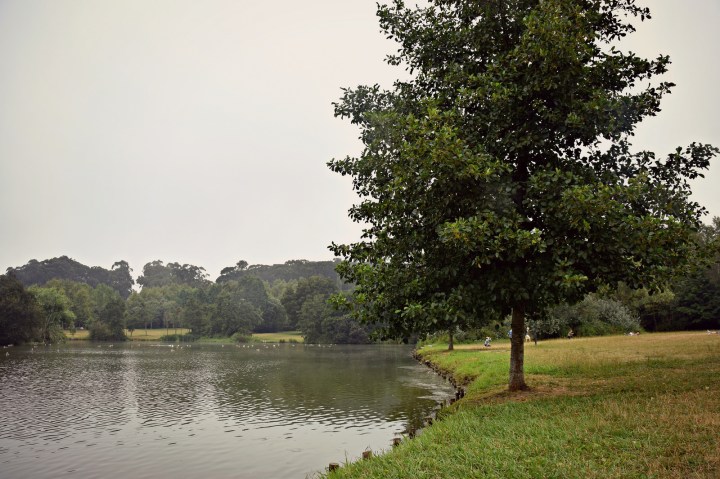 28830358884_c87dbfe22e_h