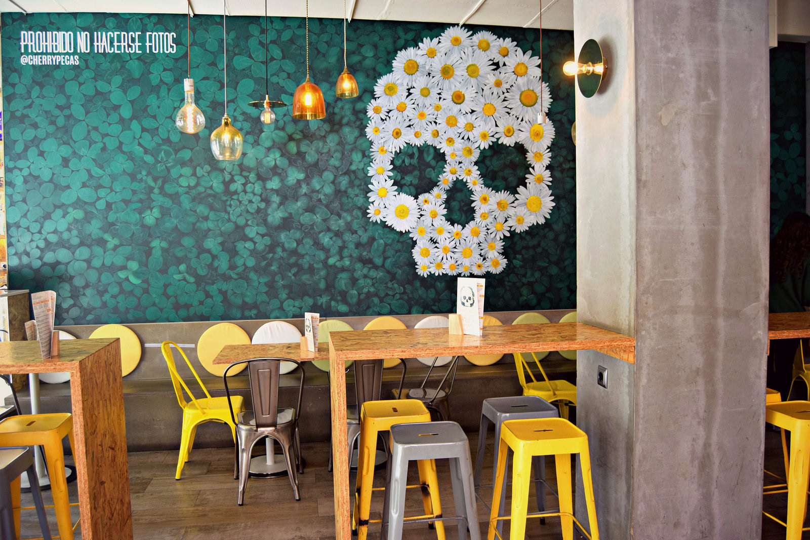 33253599121_9b2cc45200_h