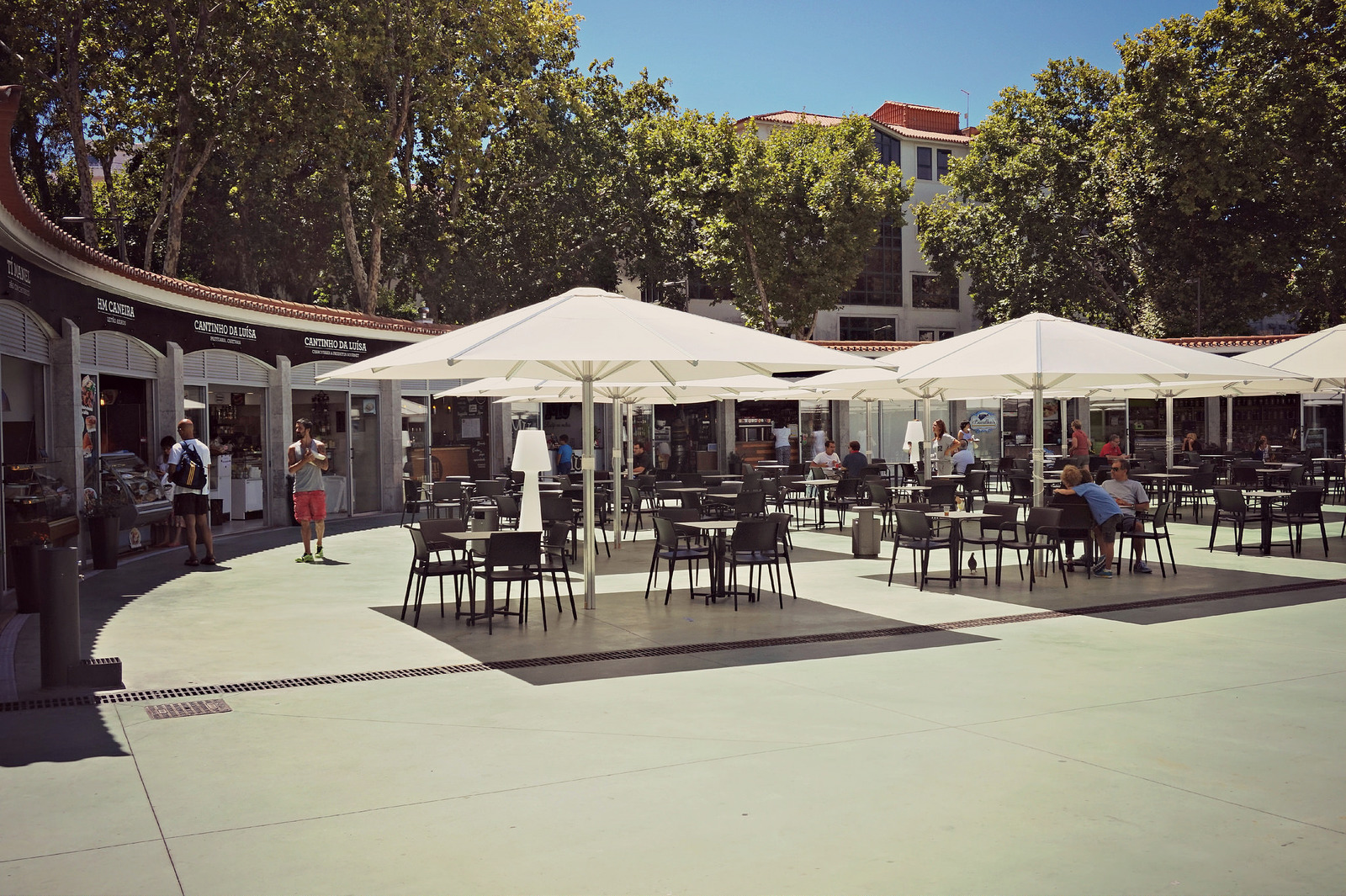 20586827871_9635fa2b08_h